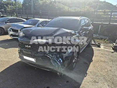 2020, Kia / Sorento, VIN: KNARH81GBMA010833, hybrid