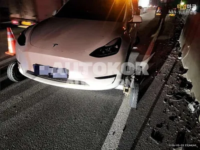 2024, Tesla / Model Y, 49434 км., electric