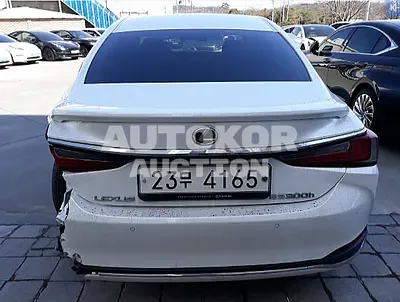 2019, Lexus / ES 300, VIN: JTHB21B17K2025272, 52039 км., gas, 2487 куб.см.