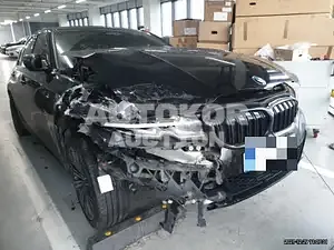 2021, BMW / 320, VIN: WBA5X5104MFK75741, 10000 км., gas