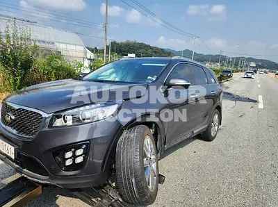 2016, Kia / Sorento, VIN: KNAPK81BDGA195195, diesel