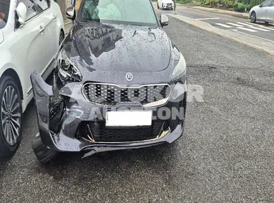 2018, Kia / Stinger, VIN: KNAE751CBJS001292, 201093 км., gas, 3300 куб.см.