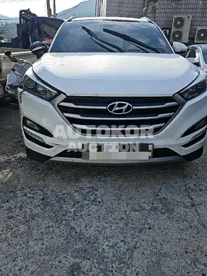 2016, Hyundai / Tucson, VIN: KMHJ381ABHU302085, 254071 км., diesel, 1995 куб.см.