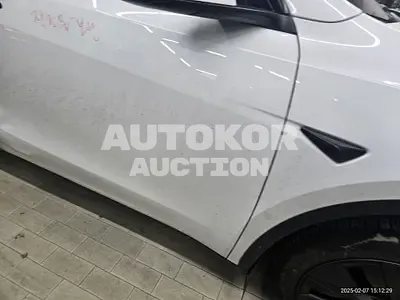 2024, Tesla / Model Y, unknown