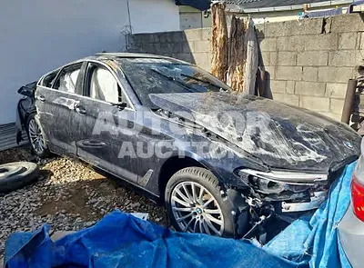 2020, BMW / 520, VIN: WBAJK9102LCE89523, gas