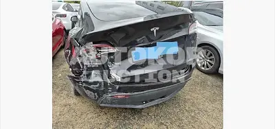 2024, Tesla / Model Y, electric, 173 куб.см.