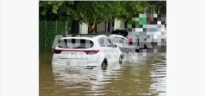 2019, Kia / Sportage, 100011 км., diesel, 2000 куб.см.