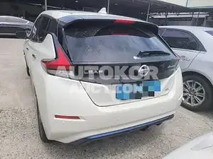 2019, Nissan / Leaf, 67145 км., electric