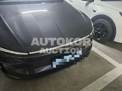2025, Tesla / Model Y, electric