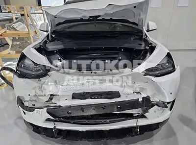 2021, Tesla / Model Y, VIN: 5YJYGDEE3MF225384, electric