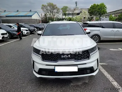 2022, Kia / Sorento, VIN: KNARJ81FHNA165991, 8711 км., gas
