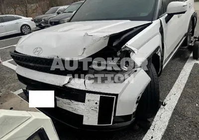2024, Hyundai / Santa FE, 66084 км., gas, 2500 куб.см.