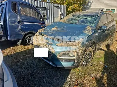 2019, Hyundai / Kona, 53180 км., diesel, 1600 куб.см.