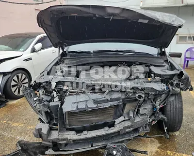 2020, Hyundai / Santa FE, VIN: KMHS381BBLU203297, 105090 км., diesel