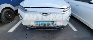 2018, Hyundai / Kona, VIN: KMHK381GFKU009309, 73170 км., electric