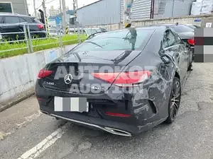 2019, Mercedes-Benz / CLS 450, VIN: WDD2J5KB7KA047241, 29084 км., gas