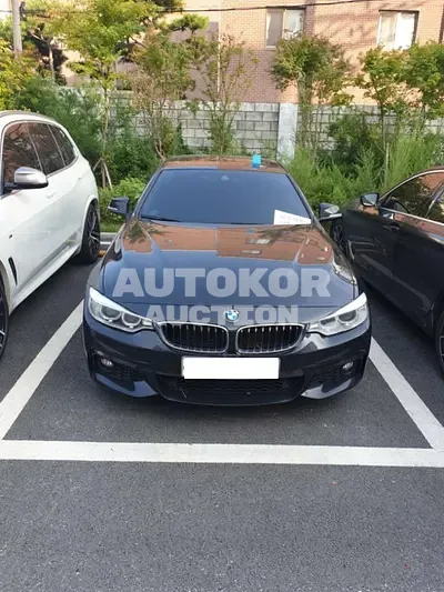 2016, BMW / 420, VIN: WBA4F1109GG605637, 81584 км., diesel
