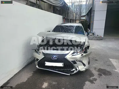 2019, Lexus / ES 300, VIN: JTHB21B1XK2046911, hybrid