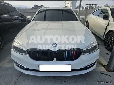 2020, BMW / 530, 115455 км., gas