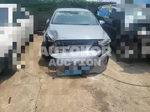 2018, Hyundai / Ioniq, VIN: KMHC051HFJU023341, 80000 км., electric, 100 куб.см.