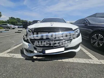 2019, Mercedes-Benz / e220, VIN: WDDZF0FB8KA695166, 152550 км., diesel, 1950 куб.см.