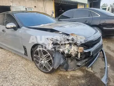 2021, Kia / Stinger, VIN: KNAE351DDMS093636, gas