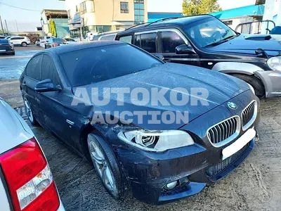 2016, BMW / 520, VIN: WBA5E5105GG204391, diesel