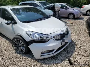 2015, BMW / Z1, VIN: KNAFZ412BFA398779, gas
