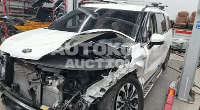 2021, Kia / Carnival, VIN: KNANC81BBMS037923, diesel
