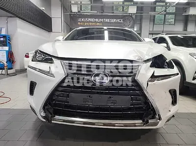 2019, Lexus / NX 300, VIN: JTJBJRBZXK2121905, 111540 км., hybrid