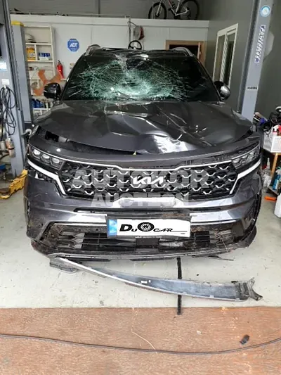 2022, Kia / Sorento, VIN: KNARF81BGNA134251, 40000 км., diesel