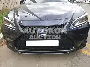 2019, Lexus / ES 300, VIN: JTHB21B10K2066133, 78622 км., hybrid