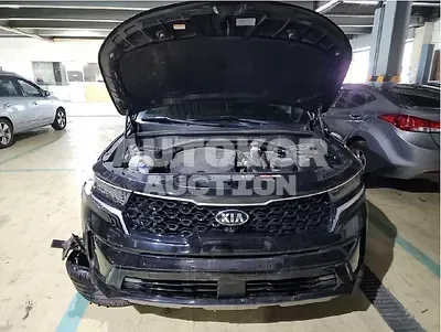 2021, Kia / Sorento, VIN: KNARF81BGMA022671, 57755 км., diesel