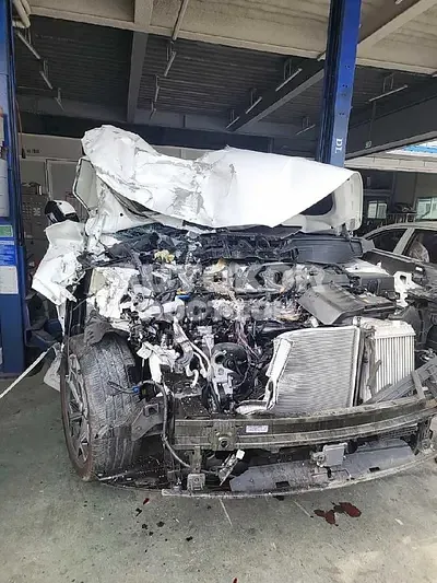 2021, Hyundai / Palisade, VIN: KMHR581ABNU343080, diesel, 2199 куб.см.