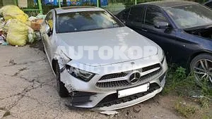 2019, Mercedes-Benz / CLS 300, VIN: WDD2J1JBXKA041962, diesel