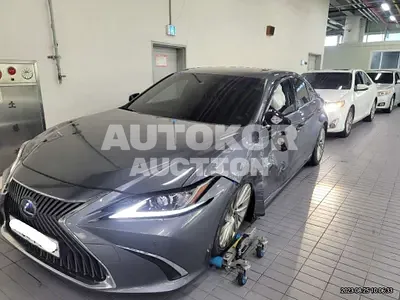 2021, Lexus / ES 300, VIN: JTHBA1C18M2000336, 43855 км., hybrid