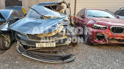2017, Kia / Carnival, VIN: KNAME81ABHS260112, diesel