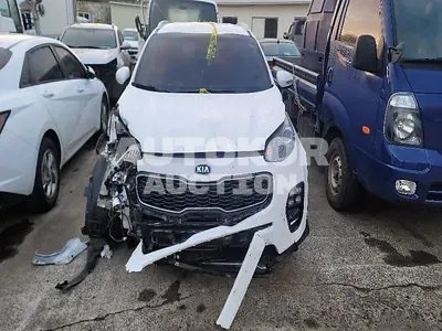 2017, Kia / Sportage, VIN: KNAPN813DHK223220, gas