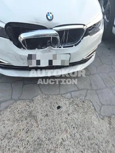 2019, BMW / 520, 106210 км., gas