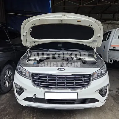 2019, Kia / Carnival, VIN: KNAME811BLS617054, 78486 км., gas