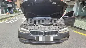 2020, BMW / 530, gas, 1998 куб.см.
