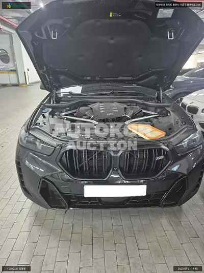 2025, BMW / X6 M, VIN: WBA41EX01S9Z90881, gas