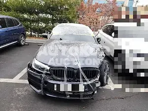 2019, BMW / 530, VIN: WBAJD910XKWC84152, 93735 км., gas, 1998 куб.см.