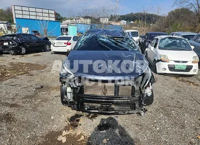 2016, Hyundai / Santa FE, VIN: KMHSW81UBGU561890, diesel