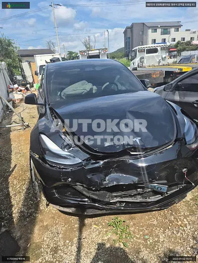 2024, Tesla / Model Y, VIN: LRWYGCFS0RC565723, 12551 км., electric