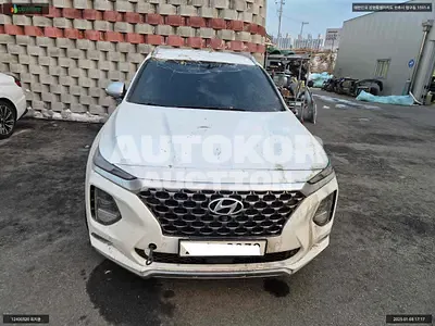 2020, Hyundai / Santa FE, VIN: KMHS581BBLU275560, diesel