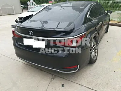 2019, Lexus / ES 300, VIN: JTHB21B11K2025753, gas