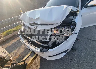 2019, Kia / K5, VIN: KNAGU411BKA283583, gas