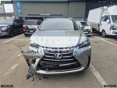 2017, Lexus / NX 300, VIN: JTJBJRBZ9H2074181, hybrid, 2494 куб.см.