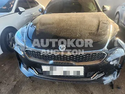 2020, Kia / Stinger, 89960 км., gas, 2000 куб.см.